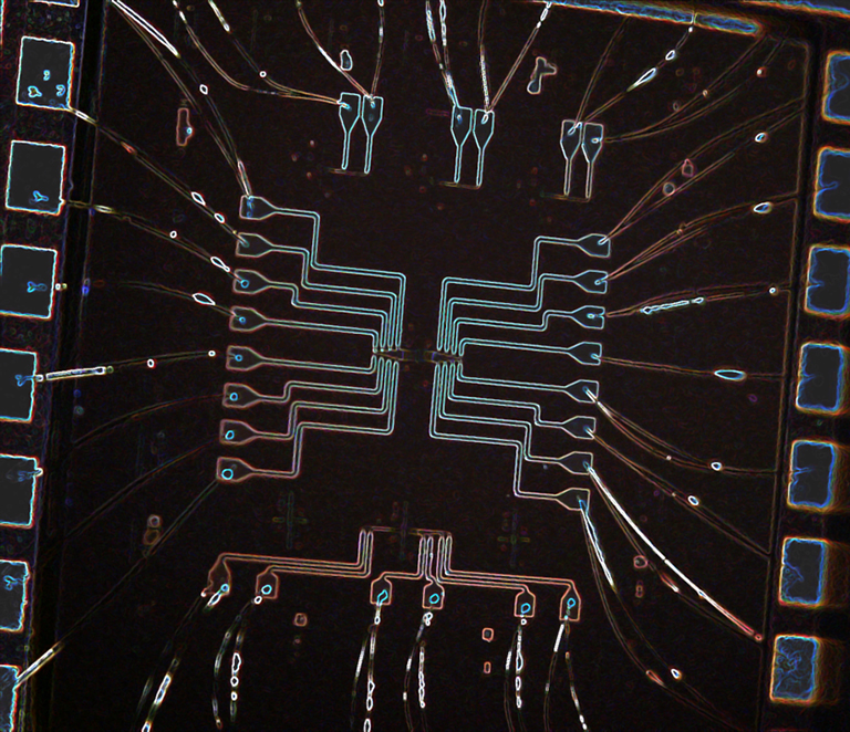 Silicon photonic chip